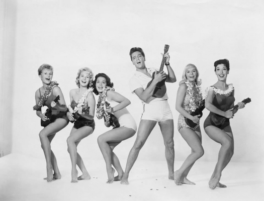 elvis presley 13
