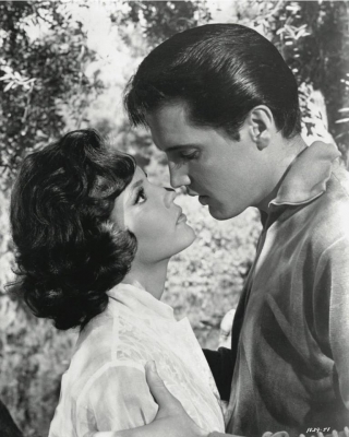 elvis presley