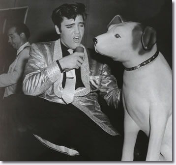Elvis-Presley-and-Nipper-Pan-Pacific-Auditorium-October-28-1957