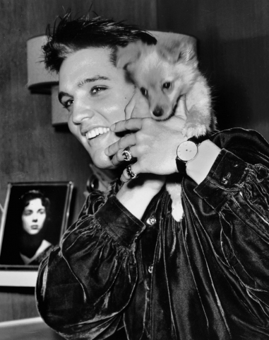 Elvis-Presley-and-Sweet-Pea-October-18-1956-4