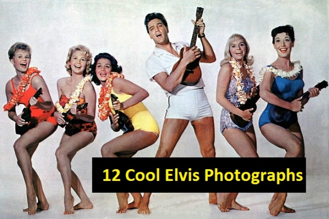 12-Cool-Elvis-Presley-images