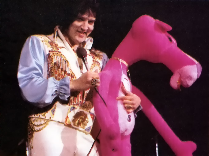 1976 , june 28 Elvis Presley 1