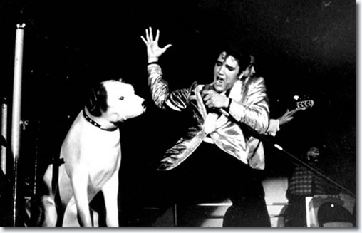 october-28-1957-elvis-pesley-1