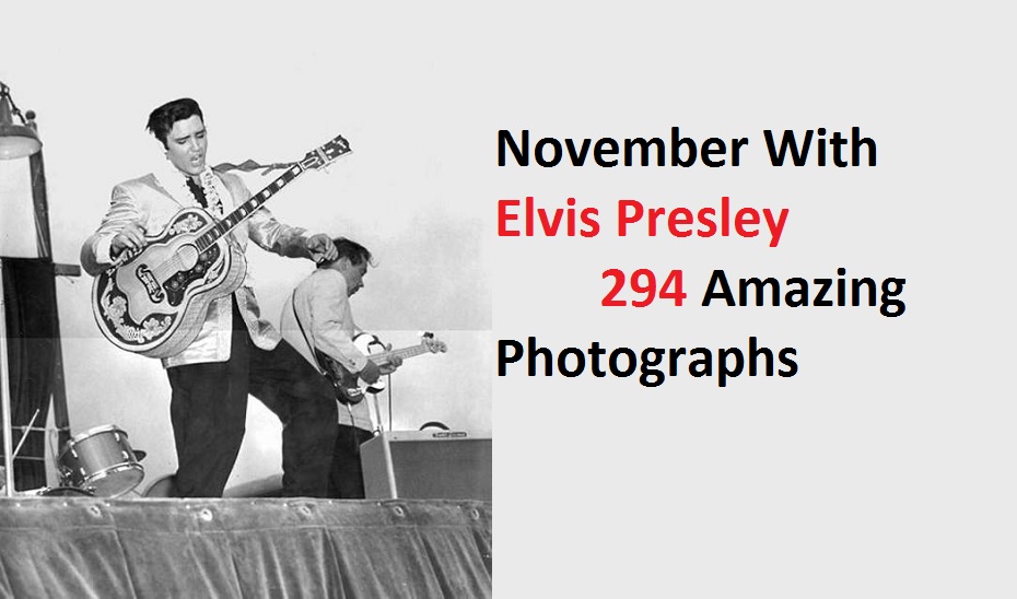 November With Elvis Presley Photographs (294 Photographs)