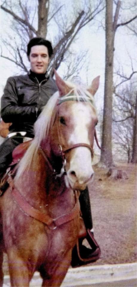 elvis January 3 1967