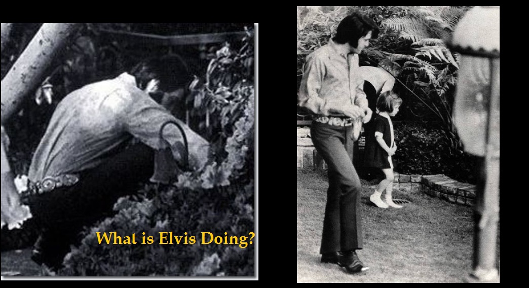March 29 Events– Today in Elvis Presley History
