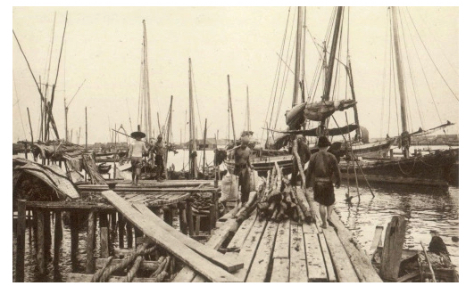 Elvis Presley and Jim Morrison 