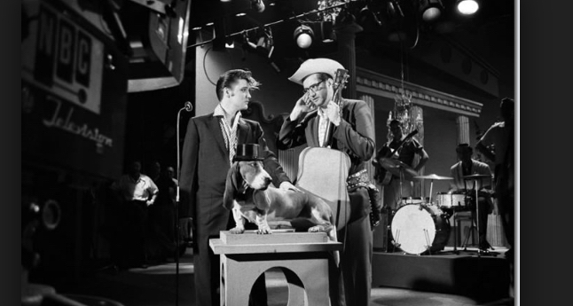 Steve Allen elvis presley