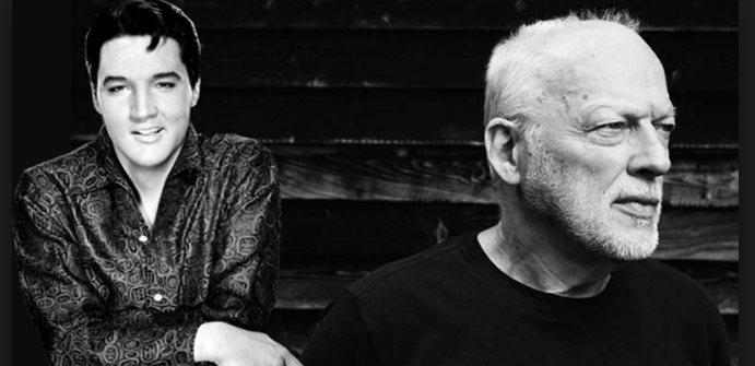 elvis David Gilmour