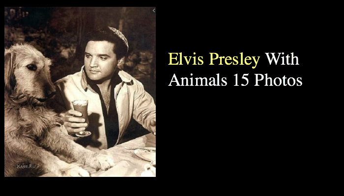 Elvis Presley With Animals 15 Photos
