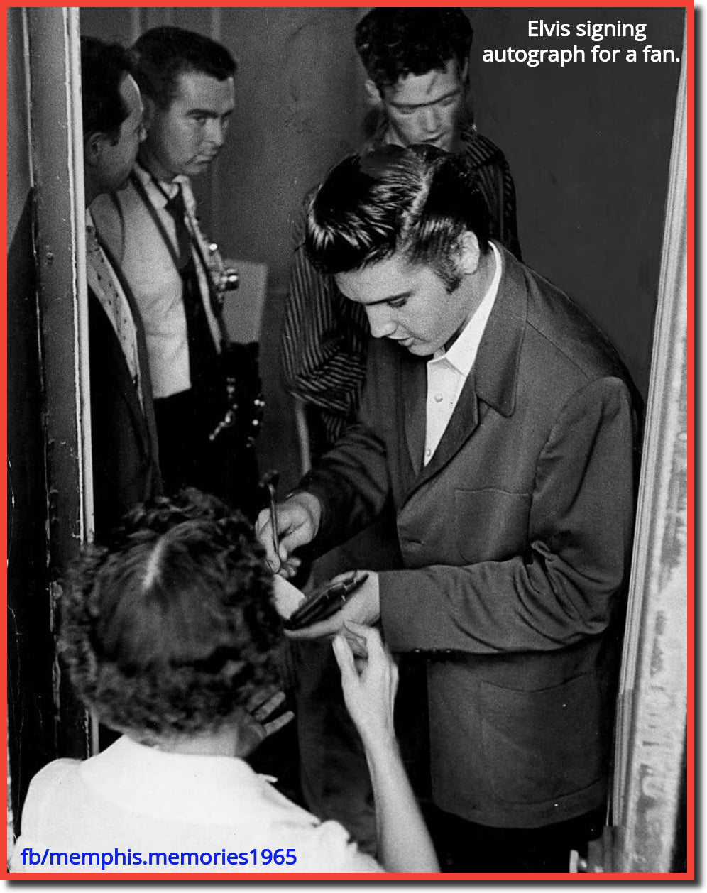 Remembering the Elvis' fabulous 1950s