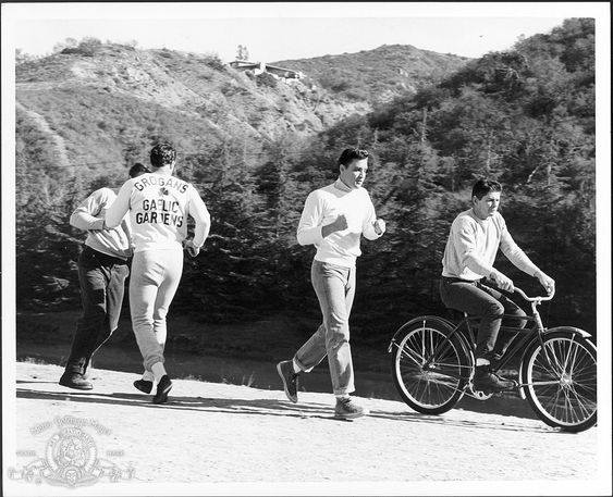 ELVIS and Charles Bronson 