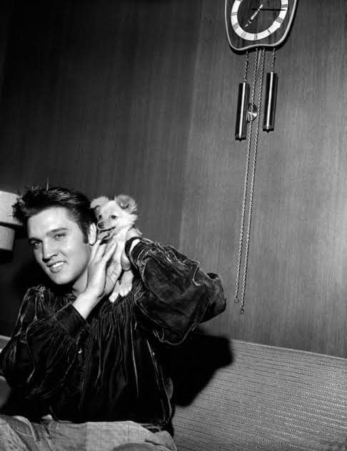 On the 26th of September 1956 Elvis was preparing to perform at the fair in Tupelo.