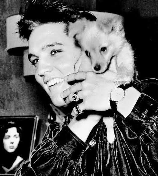 On the 26th of September 1956 Elvis was preparing to perform at the fair in Tupelo.