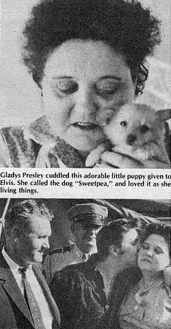 On the 26th of September 1956 Elvis was preparing to perform at the fair in Tupelo.